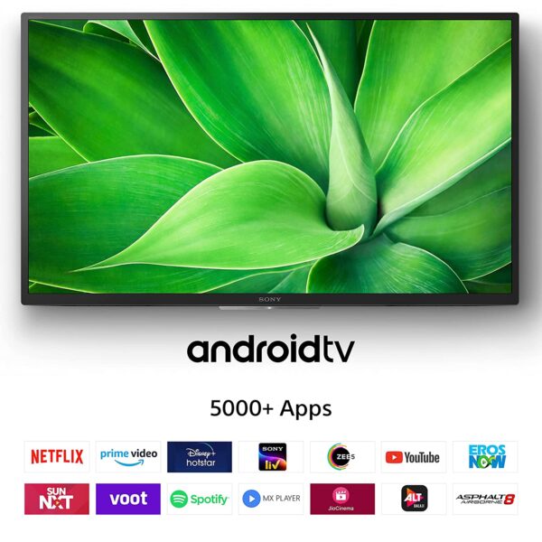 Sony Bravia Android TV Internet Services